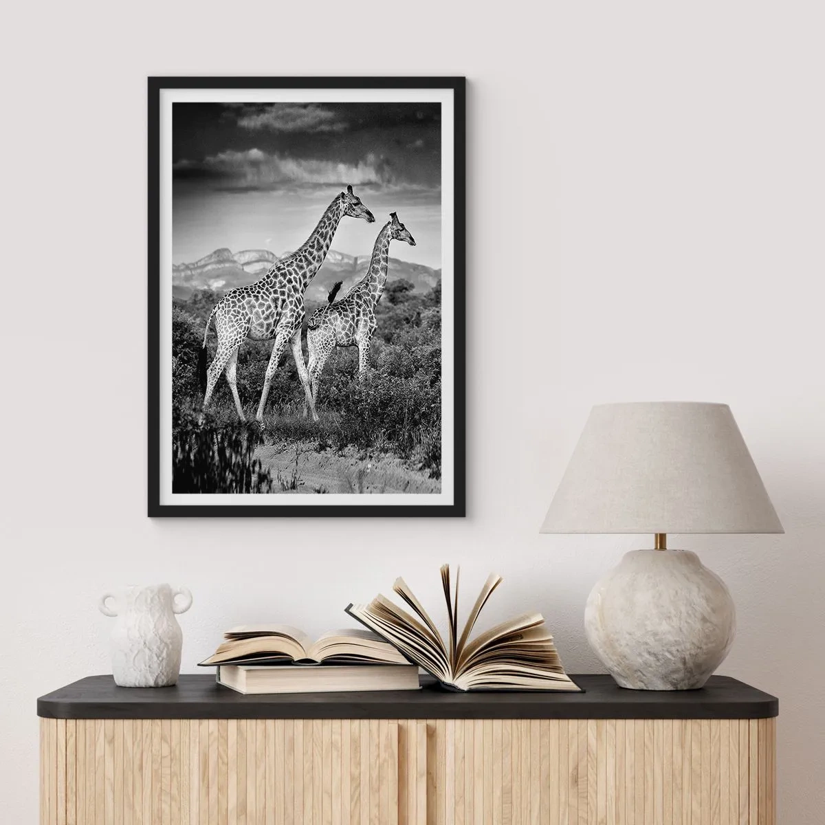 Plakat i sort ramme - Sort-hvidt portræt af giraffer mod en afrikansk landskabsbaggrund - 50x70cm - Afrikas overklasse - Moderne vægdekoration til stue og soveværelse ARTTOR