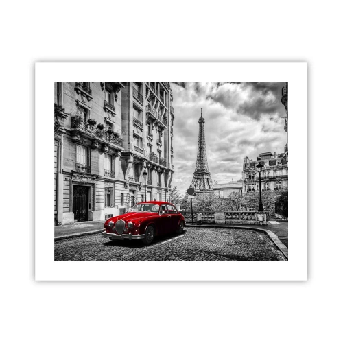 Plakat - Rovdyr i byen - 50x40 cm