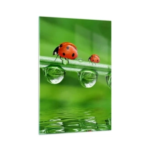 Billede på glas - På farten hele sommeren - 70x100 cm