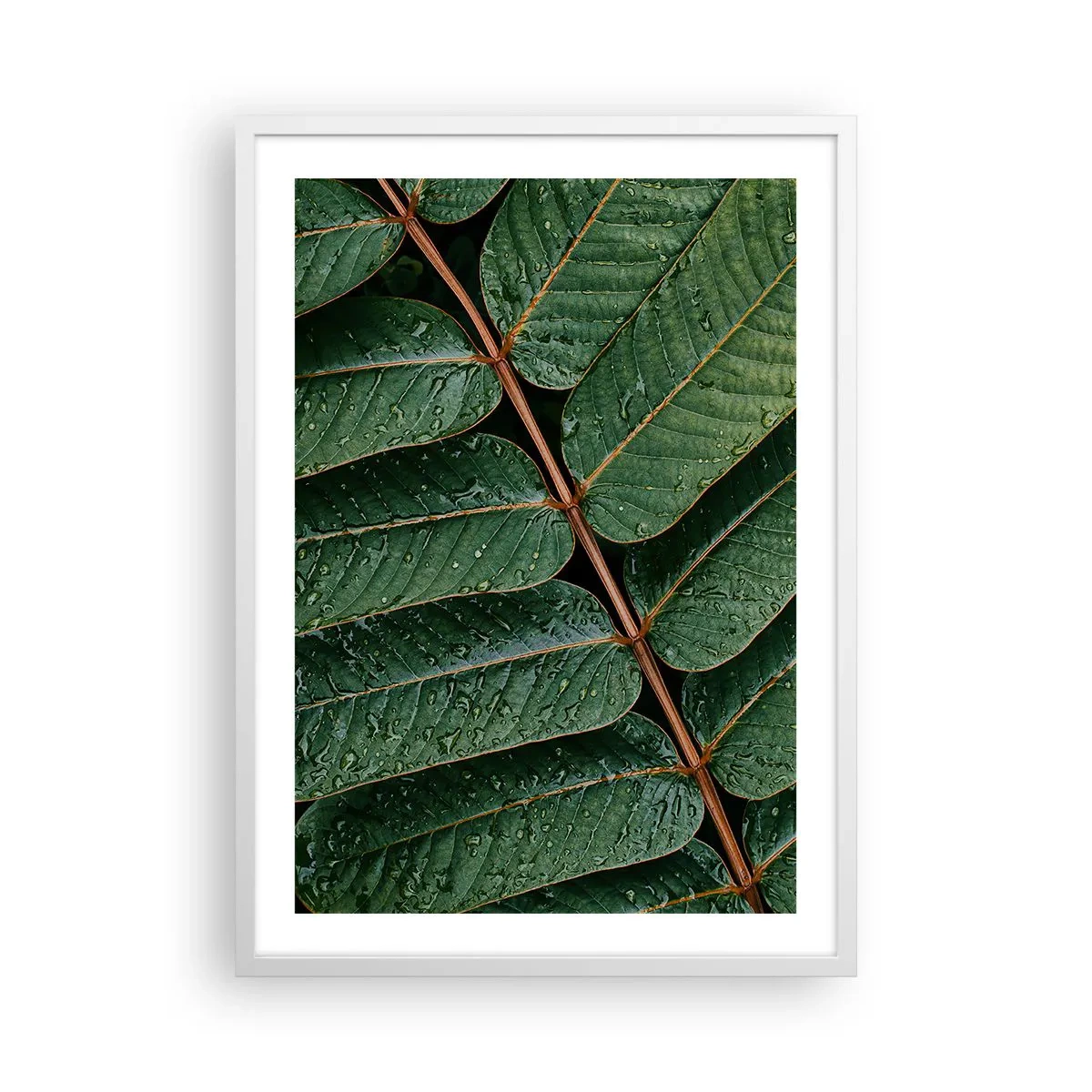 Plakat i hvid ramme - I en grøn rytme - 50x70 cm