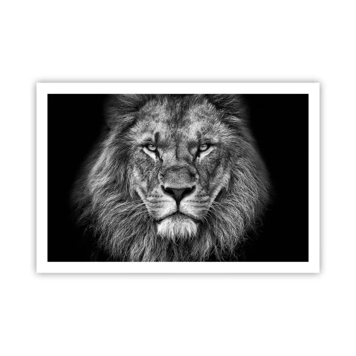 Plakat - I kroningsklædning - 91x61 cm