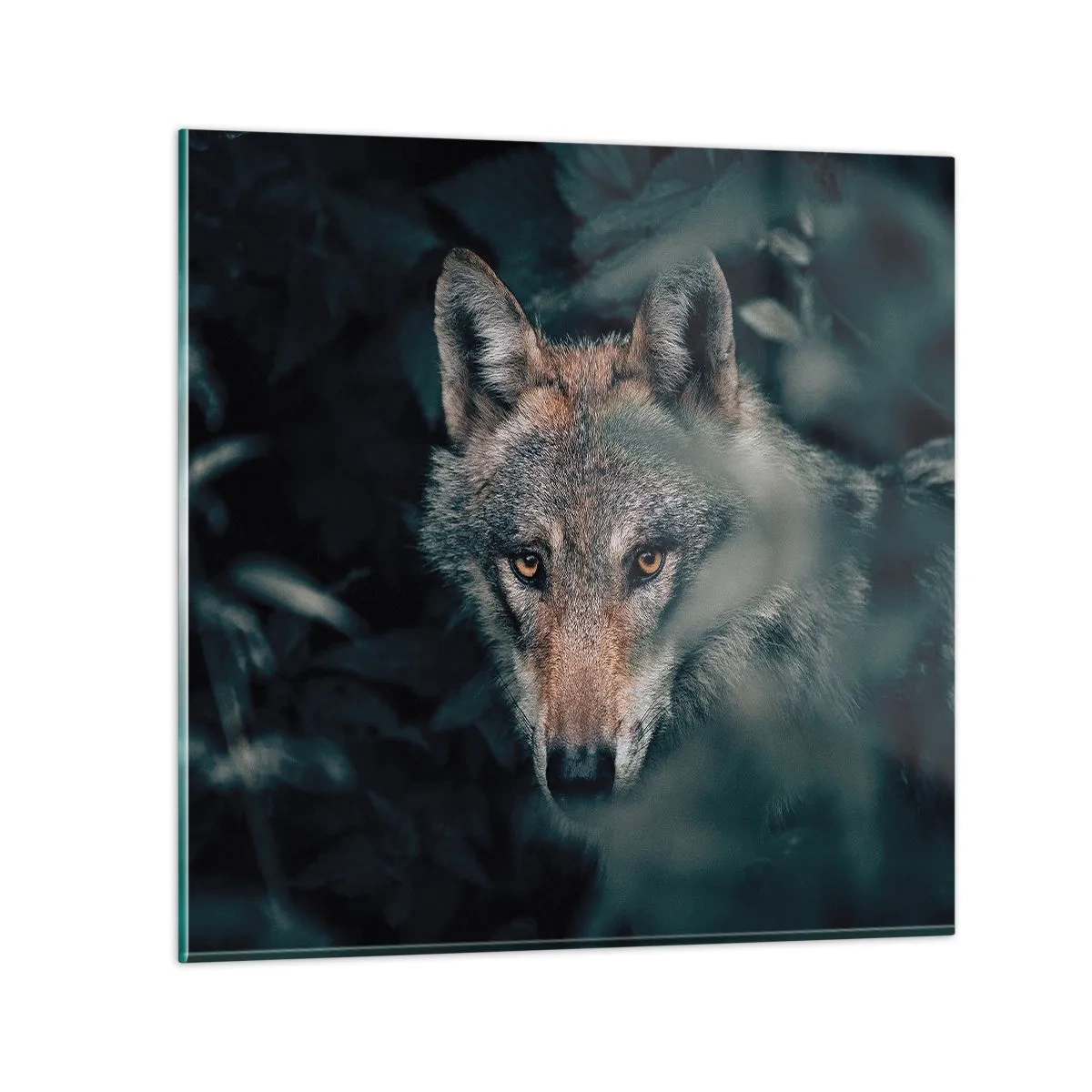 Billede på glas - Jæger - 30x30 cm