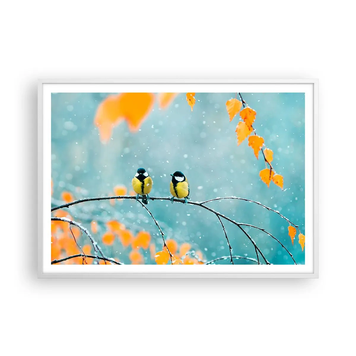 Plakat i hvid ramme - Sladder om fugle - 100x70 cm