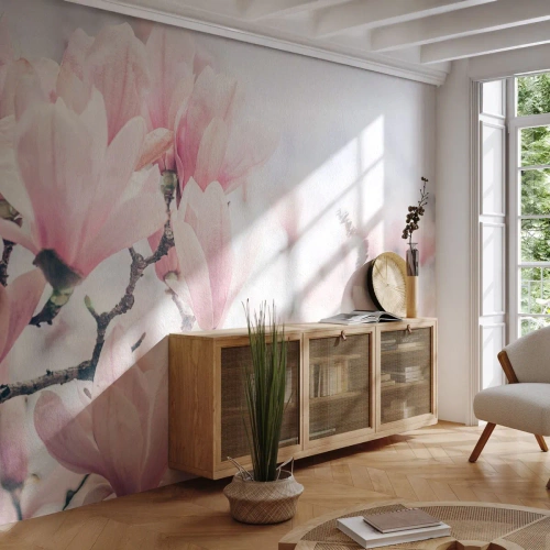 Fototapet Selvklæbende Deluxe Sticker - Idealet om subtilitet - Magnolia, Blomster, Magnolia træ - 100x70 cm