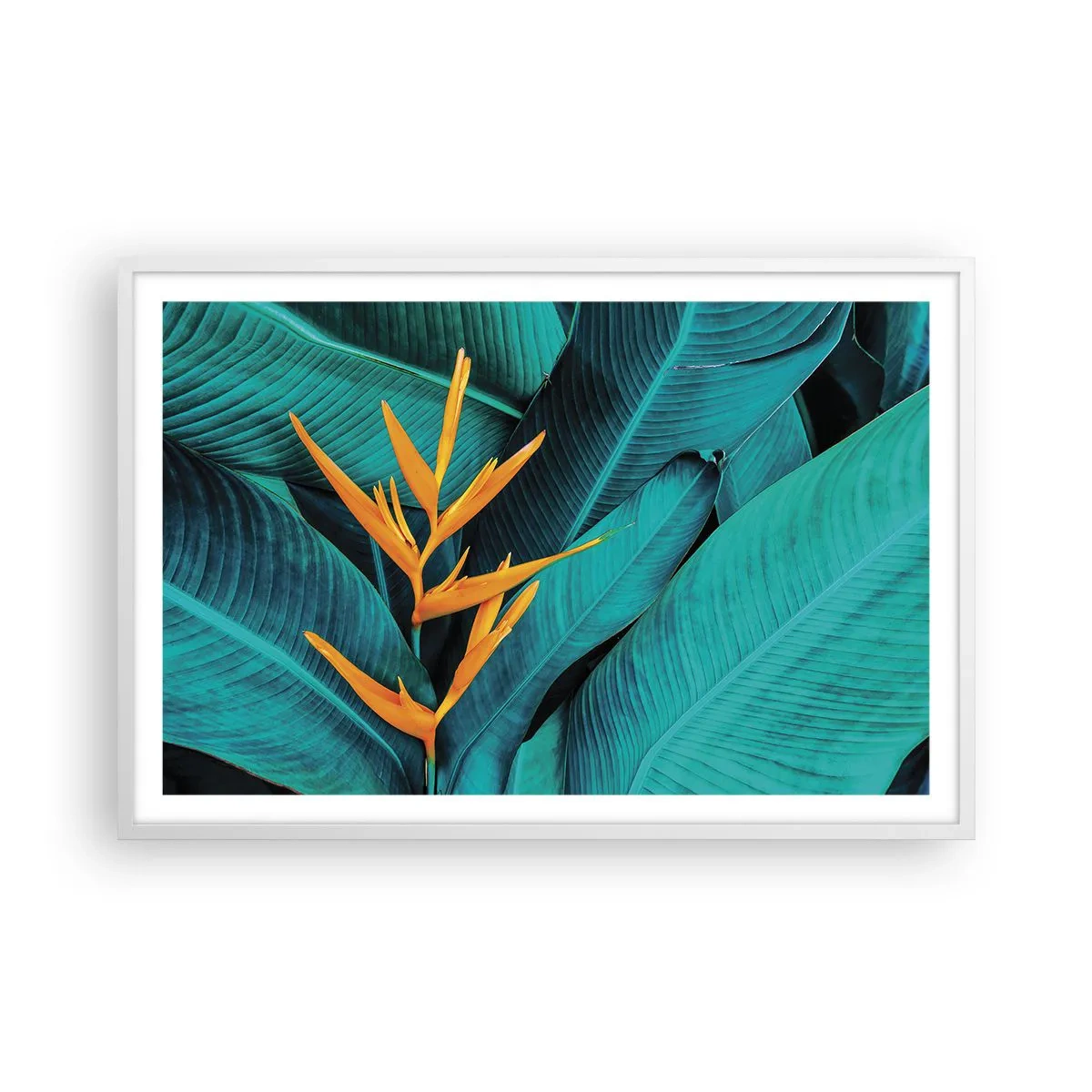 Plakat i hvid ramme - Edens blomst - 91x61 cm