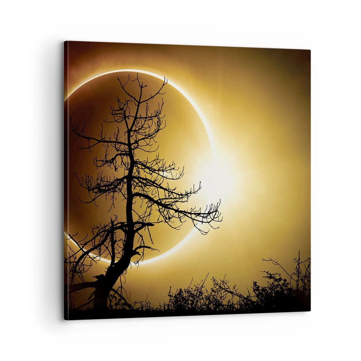 Lærredstryk - Billede på lærred - Total formørkelse - 60x60 cm