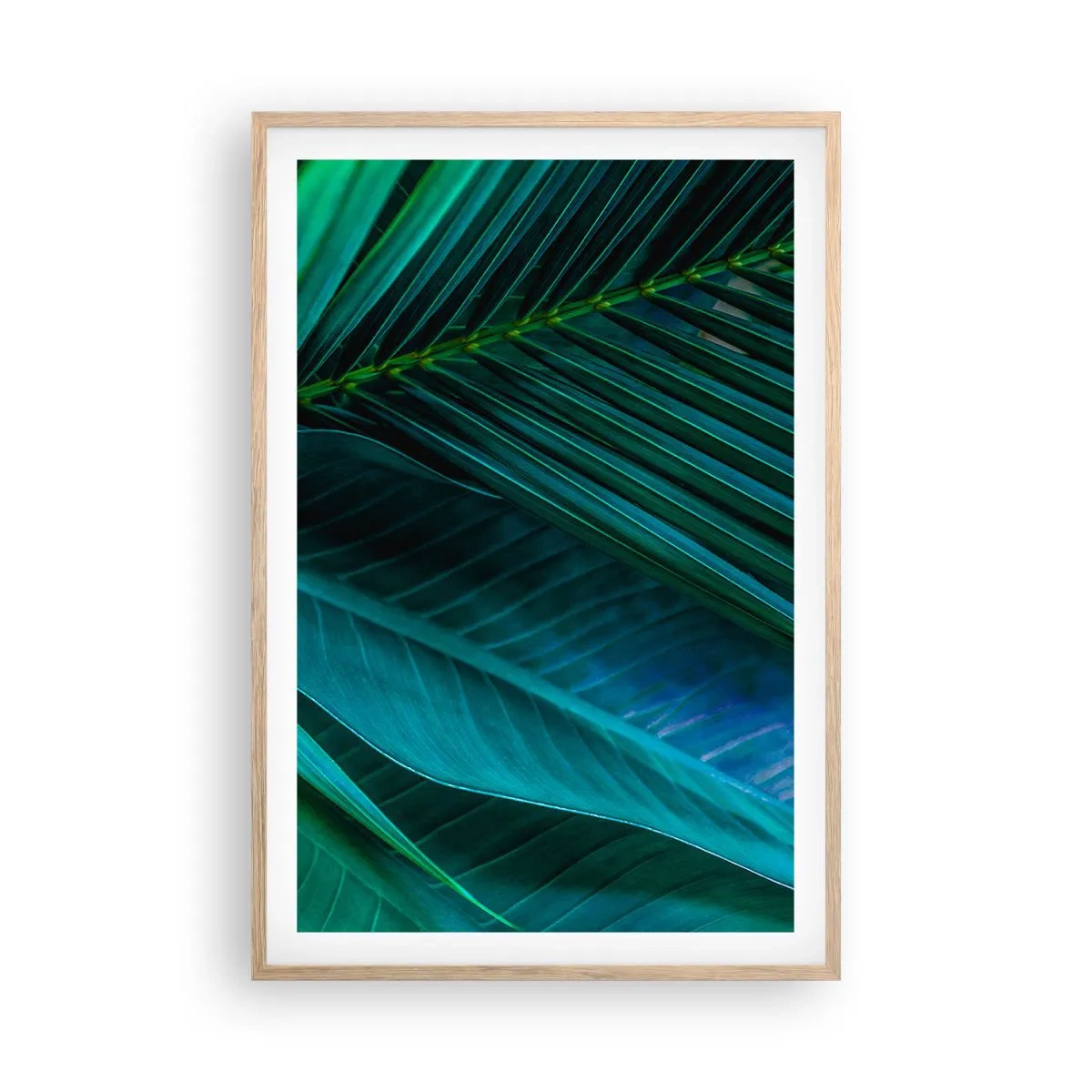 Plakat i ramme af lyst egetræ - Anatomi af en grøn - 61x91 cm