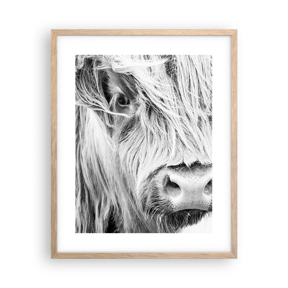 Plakat i ramme af lyst egetræ - Skotsk vildmark - 40x50 cm