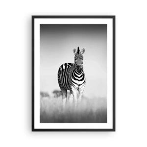 Plakat i sort ramme - En zebra i en sort-hvid komposition på savannen - 50x70cm - Og alligevel er verden sort og hvid - Moderne vægdekoration til stue og soveværelse ARTTOR