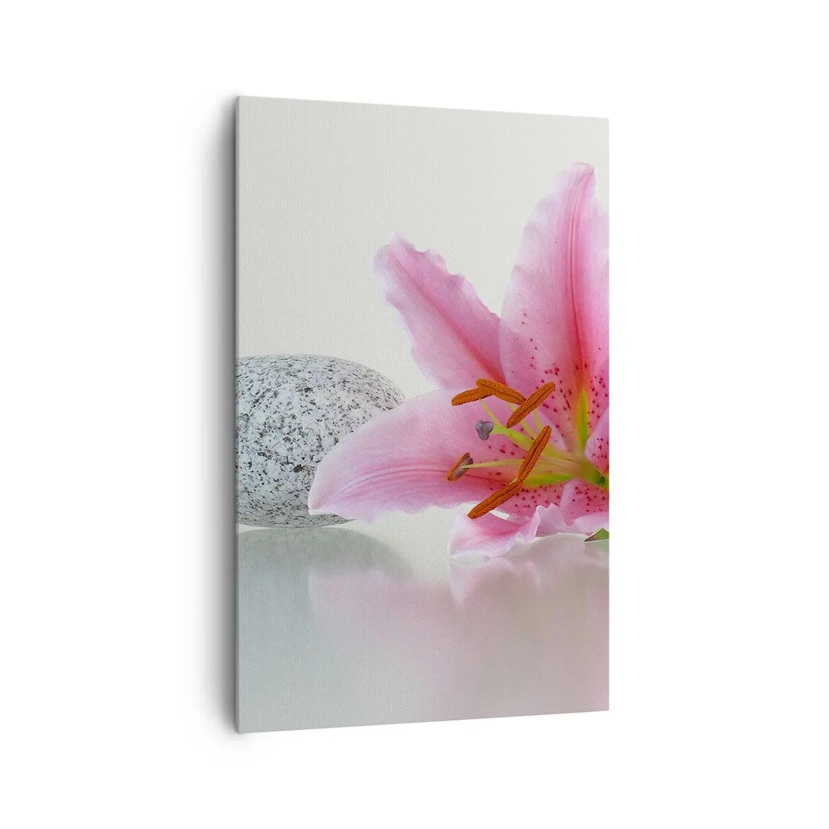 Lærredstryk - Billede på lærred - Et studie i rosa, grå og hvid - 80x120 cm