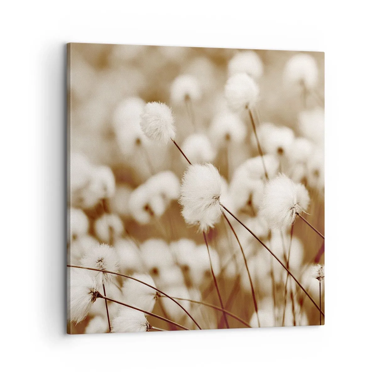 Lærredstryk - Billede på lærred - Fyldig mark - 60x60 cm