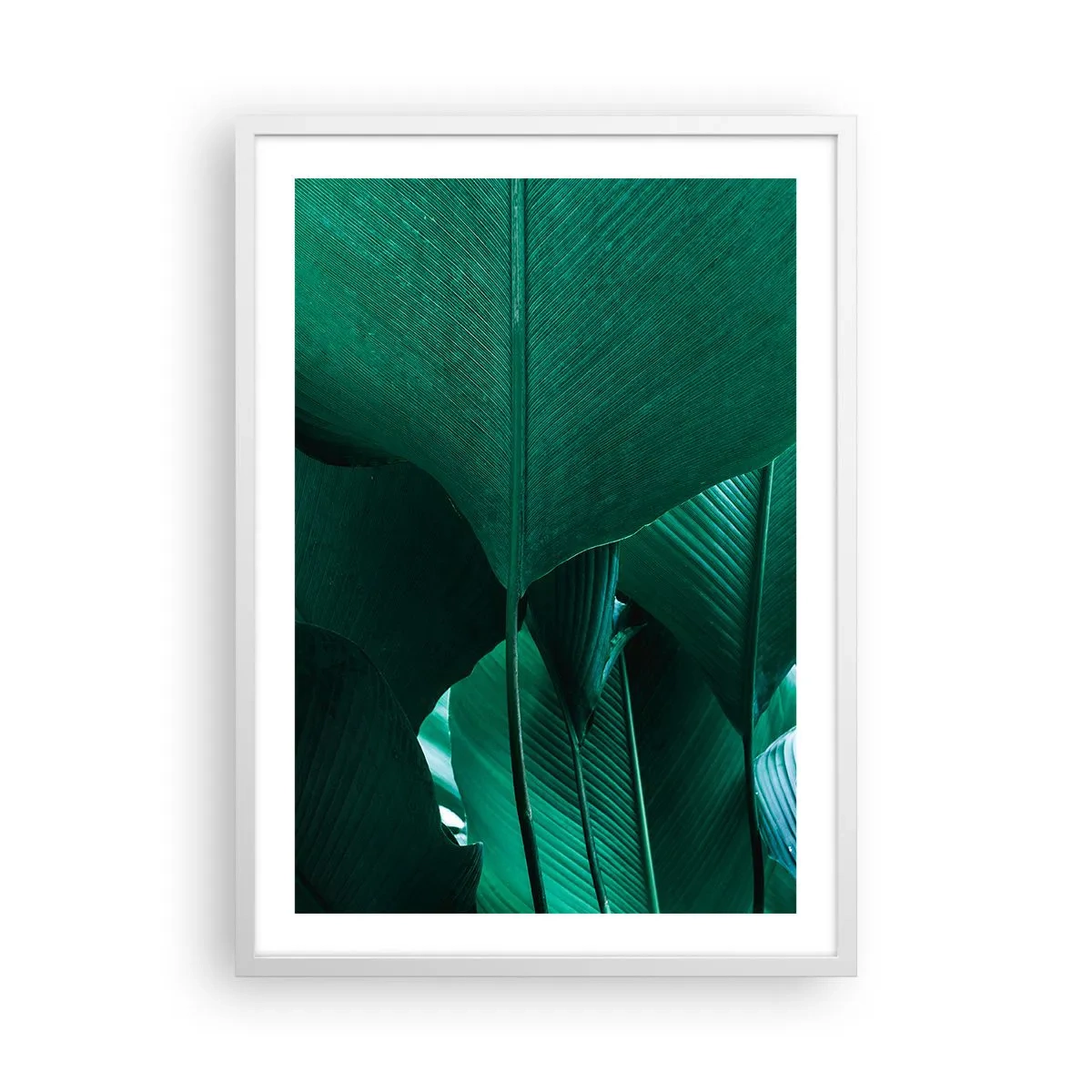 Plakat i hvid ramme - Mod lyset - 50x70 cm