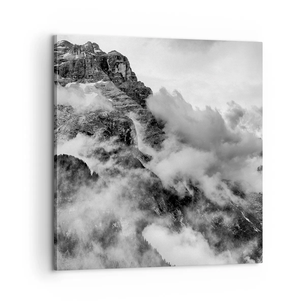 Lærredstryk - Billede på lærred - Smukt og grusomt - 60x60 cm