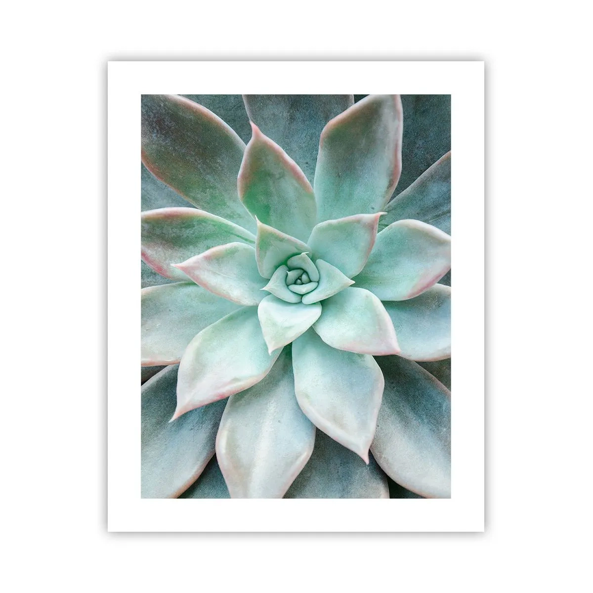 Plakat - Hjertet af ørkenen - 40x50 cm