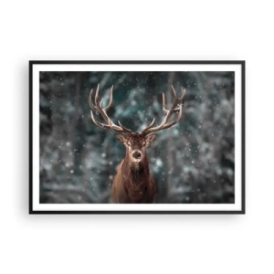 Plakat i sort ramme - Skovens konge kronet - 100x70 cm