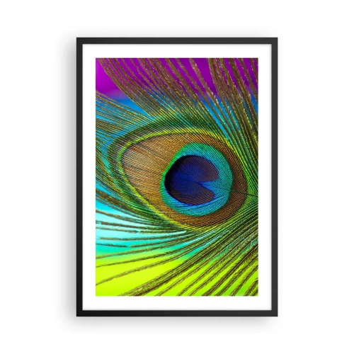 Plakat i sort ramme - Detalje af en påfuglefjer i intense farver - 50x70cm - Øje mod øje - Moderne vægdekoration til stue og soveværelse ARTTOR