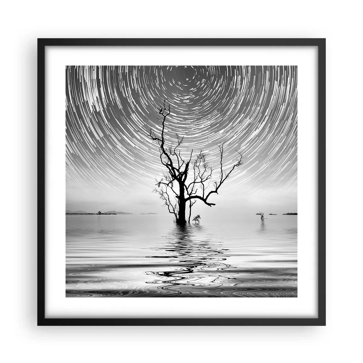 Plakat i sort ramme - En natursymfoni - 50x50 cm