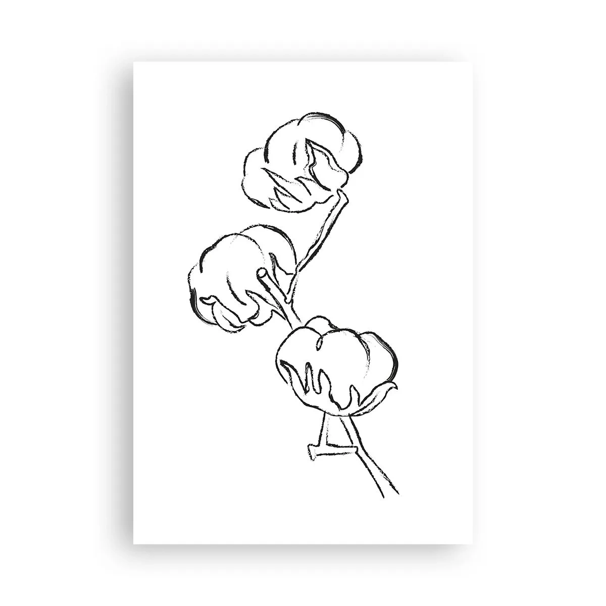 Plakat - Bomuld ned - 70x100 cm