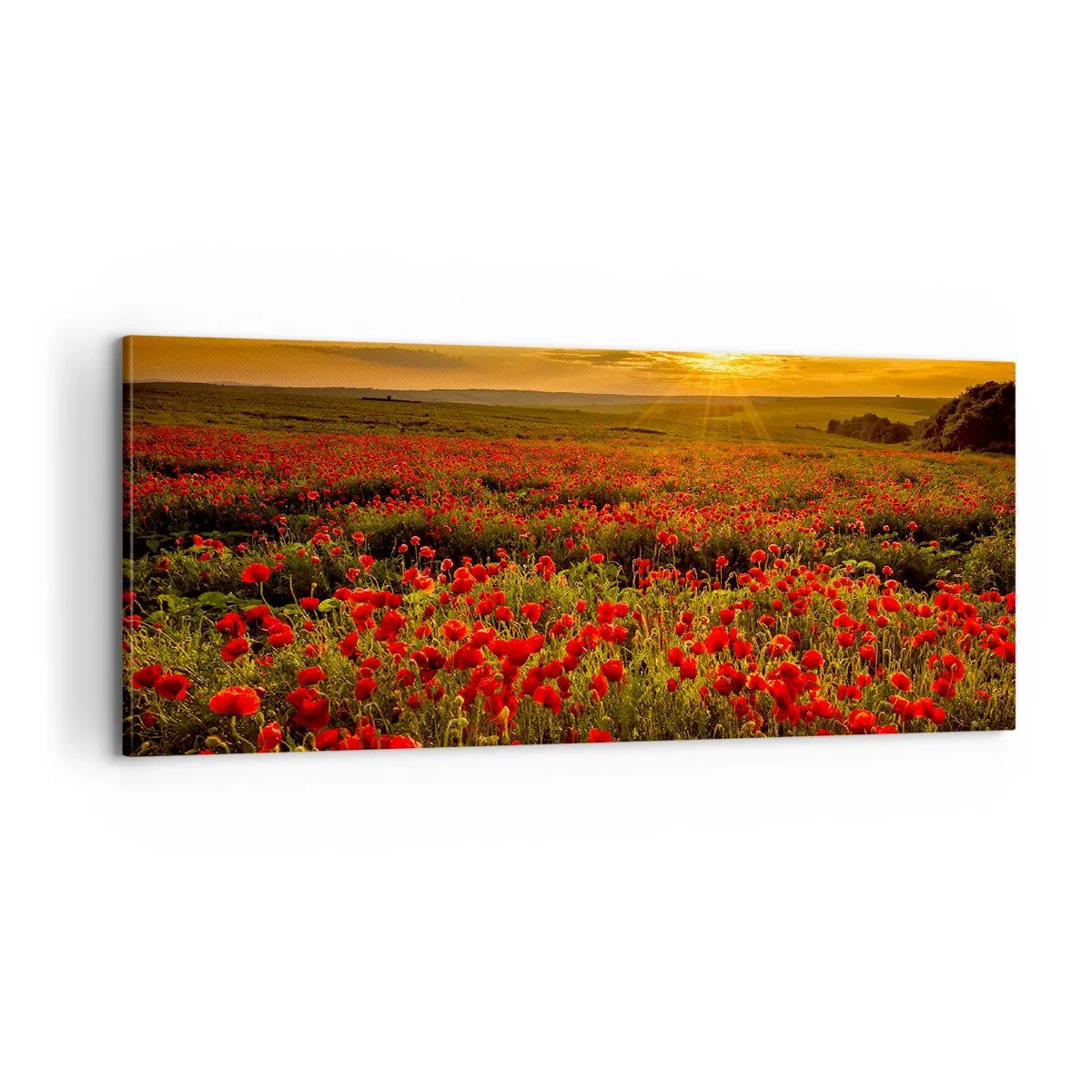 Lærredstryk - Billede på lærred - Blandt bølgerne af raslende enge, blandt flodblomster - 100x40 cm