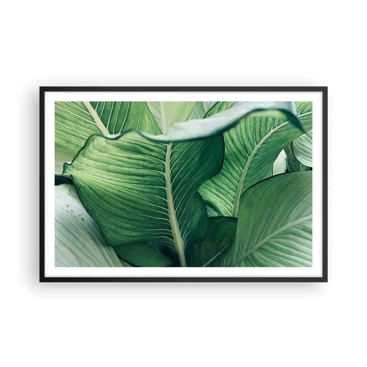 Plakat i sort ramme - Livet er intenst grønt - 91x61 cm