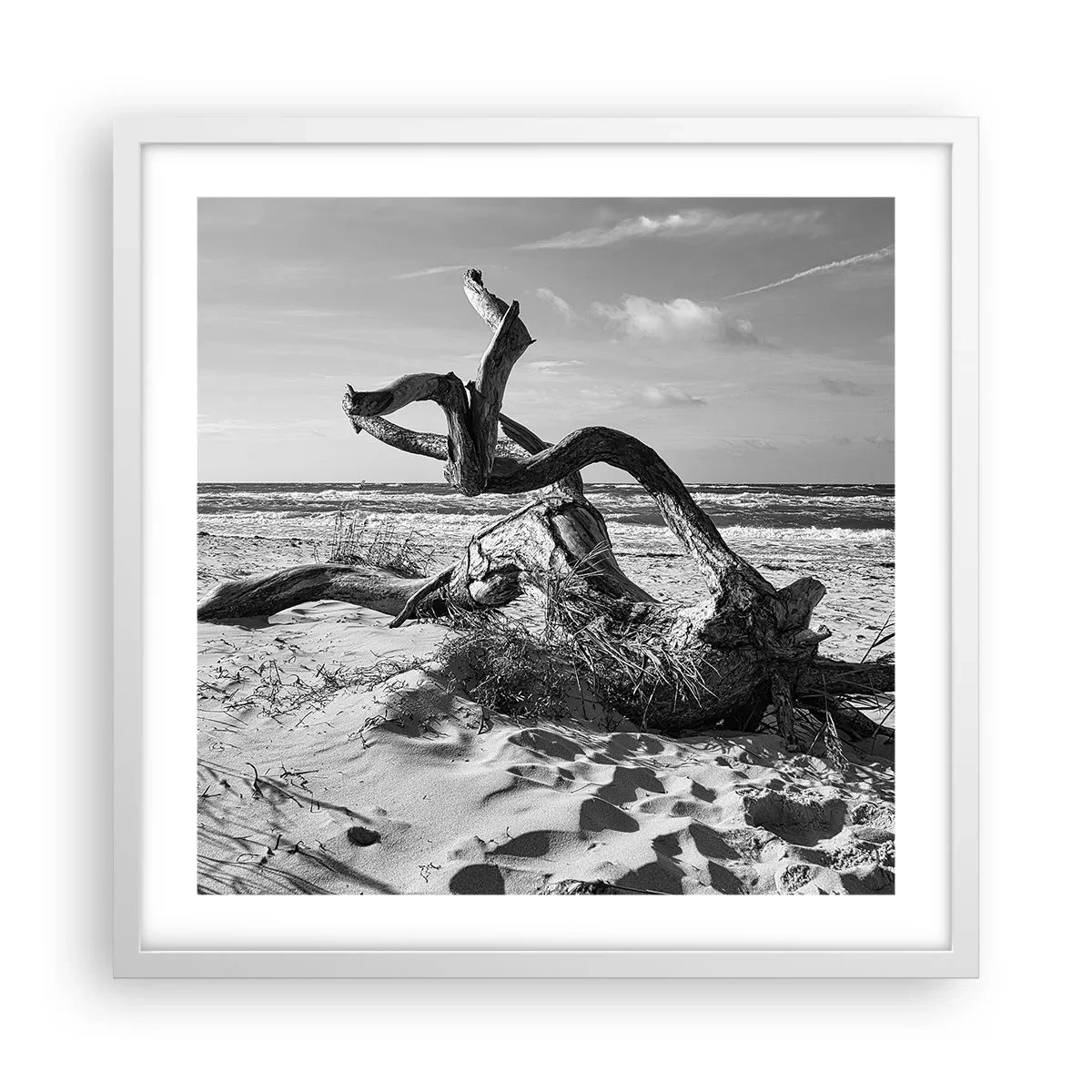 Plakat i hvid ramme - Havets skulptur - 50x50 cm