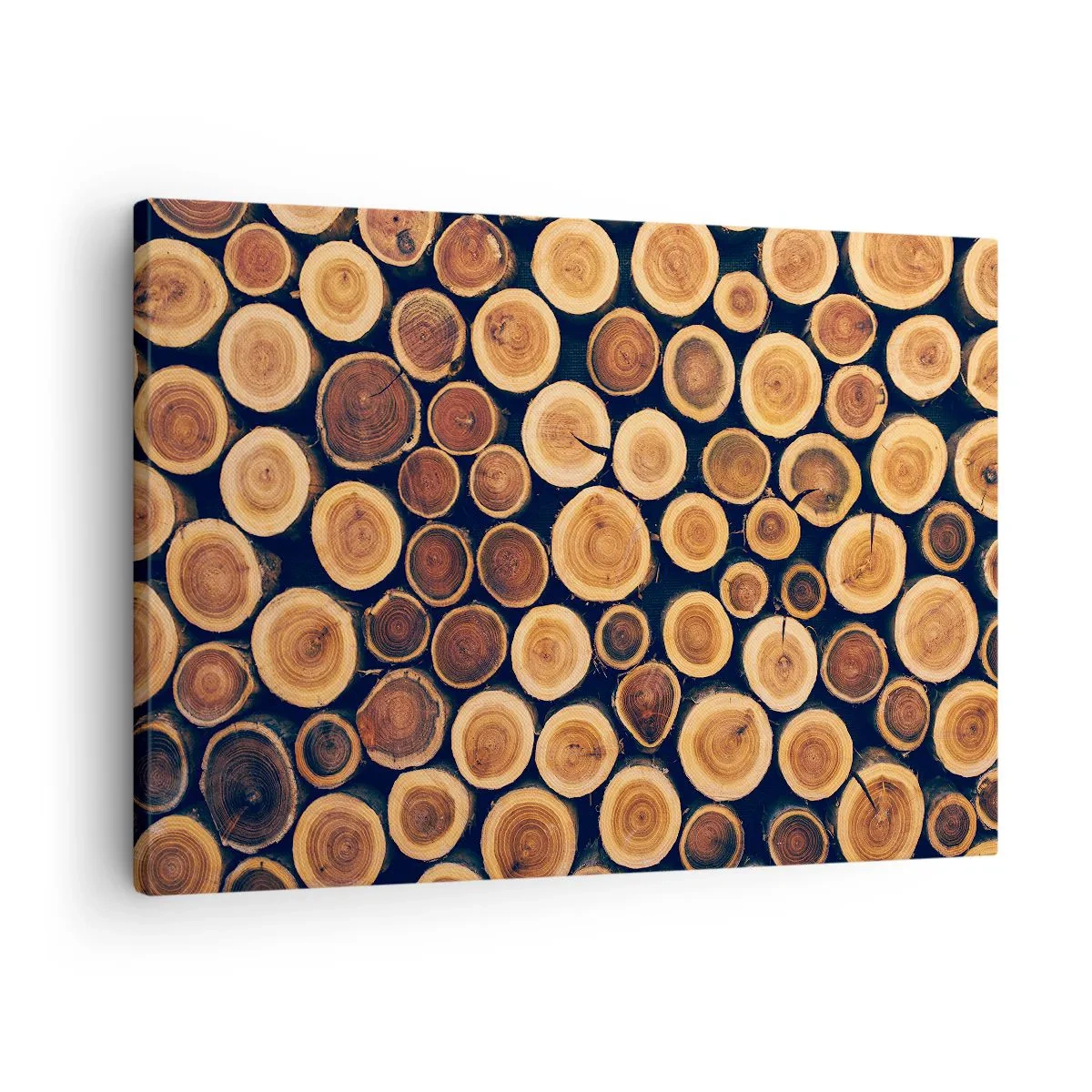 Lærredstryk - Billede på lærred - Mønster lavet af tværsnit af træstammer - 70x50cm - Hvor gammel ser jeg ud? - Moderne vægdekoration til stue og soveværelse ARTTOR