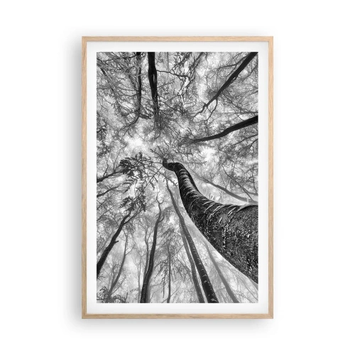 Plakat i ramme af lyst egetræ - Kapløb mod lyset - 61x91 cm