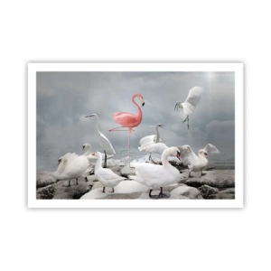 Plakat - Hvor kommer jeg fra? - 91x61 cm