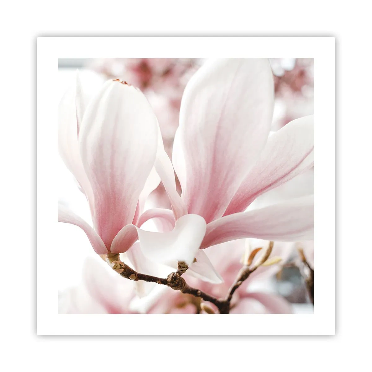 Plakat - Ømhedens umådelighed - 50x50 cm