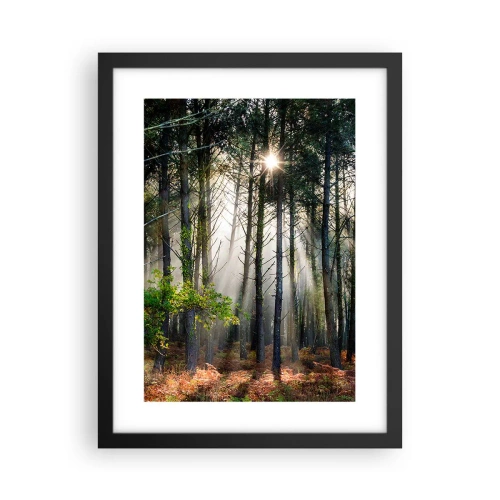 Plakat i sort ramme - Skovens vildnis - 30x40 cm