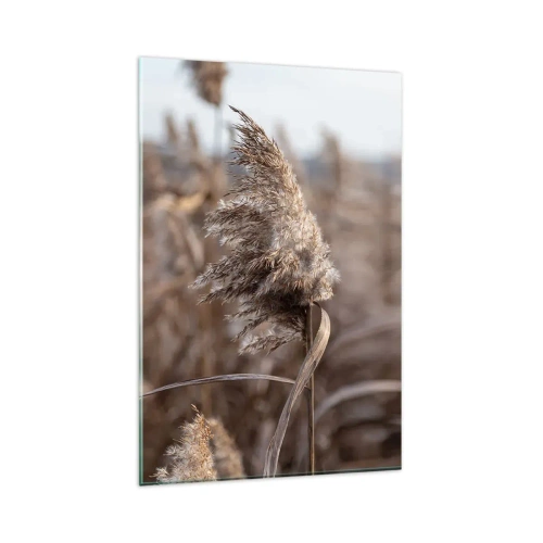 Billede på glas - Tid til at flyve væk med vinden - 80x120 cm