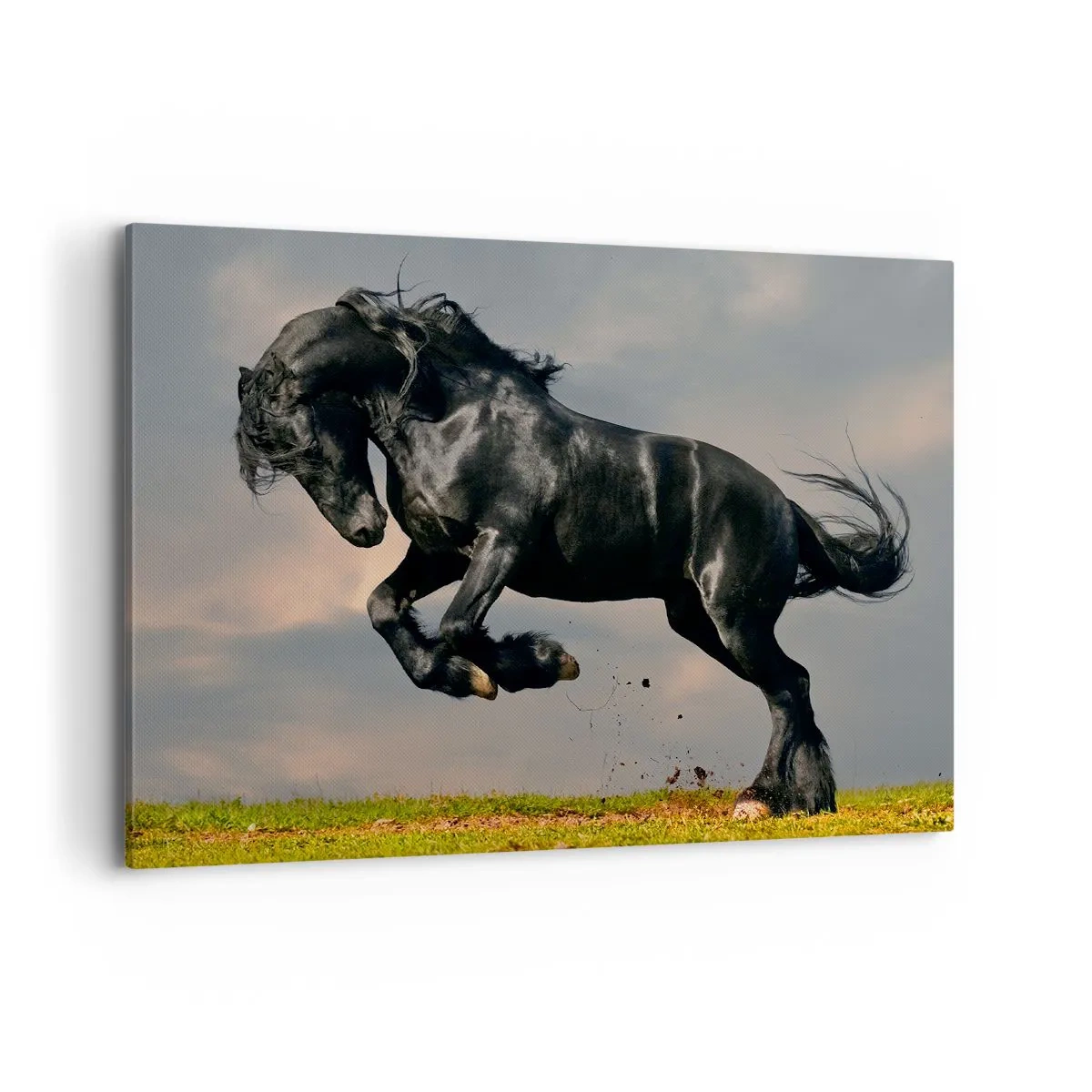 Lærredstryk - Billede på lærred - Smuk og fri - 100x70 cm