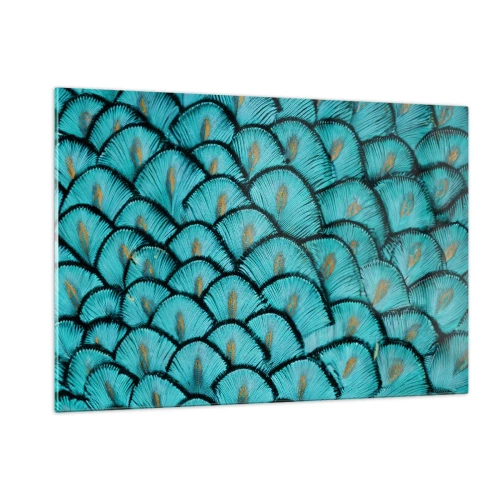 Billede på glas - Den store fjer-galla - 120x80 cm