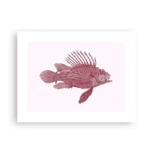 Plakat - En beboer i eksotiske farvande - 40x30 cm