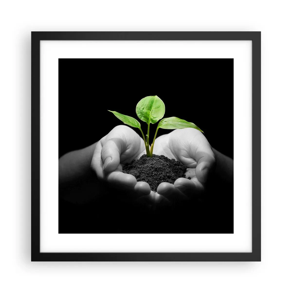 Plakat i sort ramme - Jeg elsker naturen, jeg beskytter den - 40x40 cm
