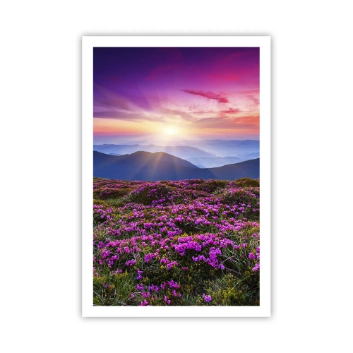 Plakat - Urter duftede friske bundter fra niw - 61x91 cm