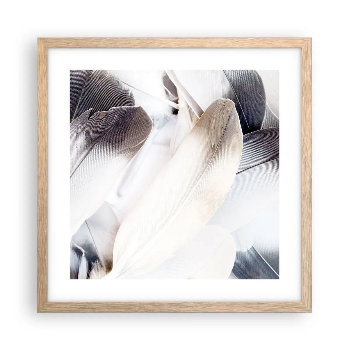Plakat i ramme af lyst egetræ - Næsten engleagtig - 40x40 cm
