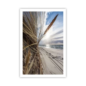 Plakat - Et møde mellem elementerne - 61x91 cm