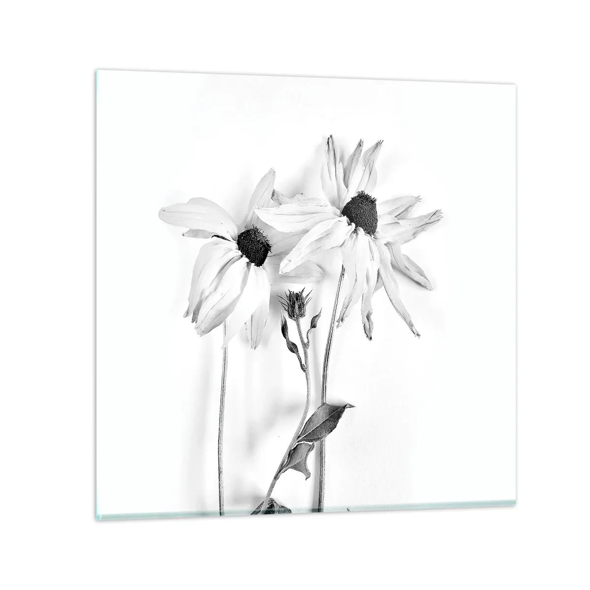 Billede på glas - Ingen ønsker at være alene - 30x30 cm