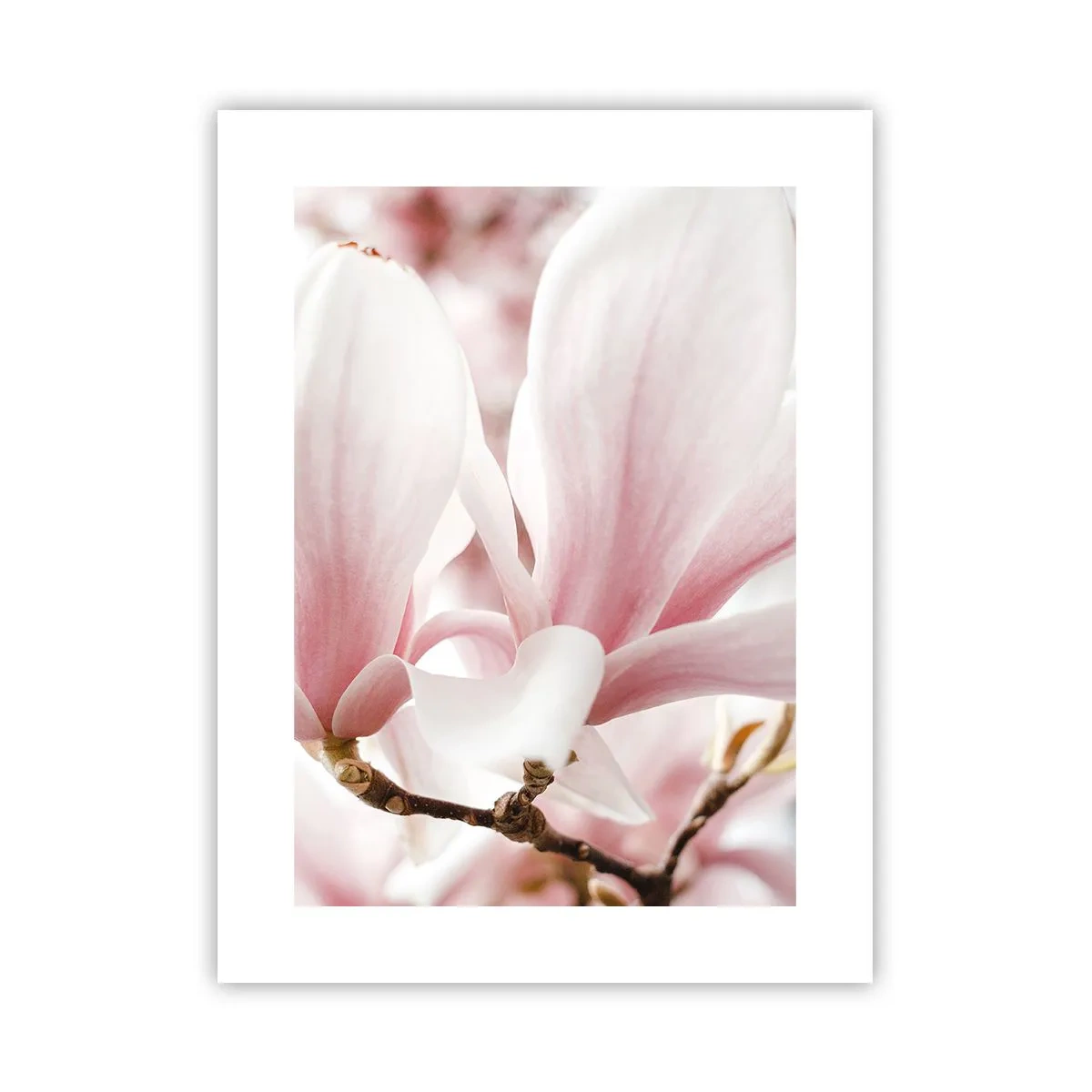 Plakat - Ømhedens umådelighed - 30x40 cm