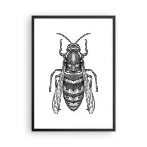 Plakat i sort ramme - Detaljeret illustration af en hveps - 50x70cm - Fra en insektplanet - Moderne vægdekoration til stue og soveværelse ARTTOR