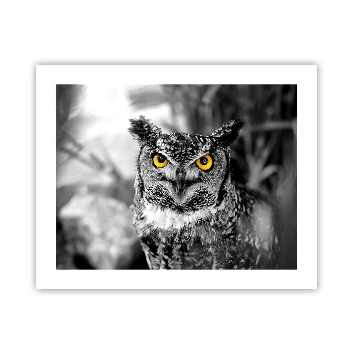 Plakat - Intet kan skjules - 50x40 cm