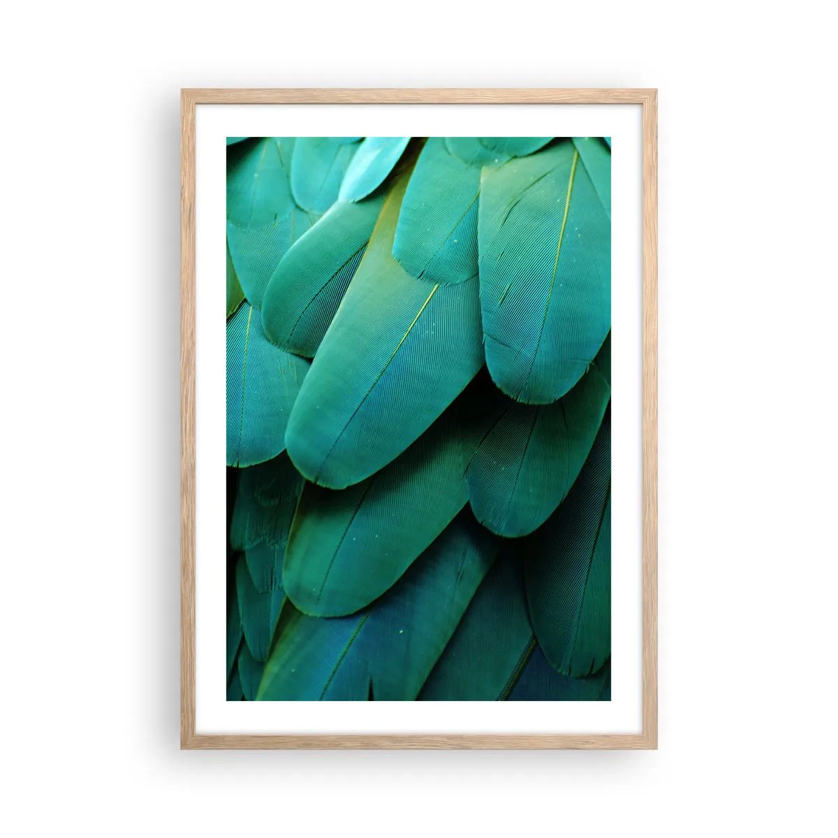 Plakat i ramme af lyst egetræ - Papegøjenaturens præcision - 50x70 cm