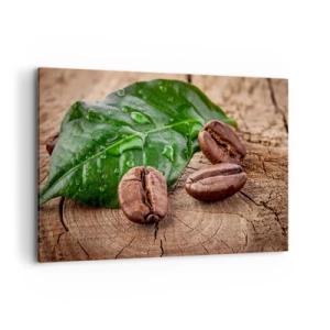 Lærredstryk - Billede på lærred - Den sandeste og sorteste - 100x70 cm