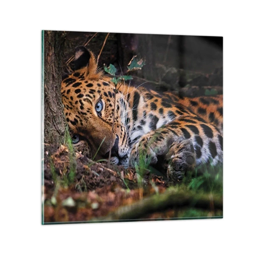 Billede på glas - Stol på mig - 70x70 cm