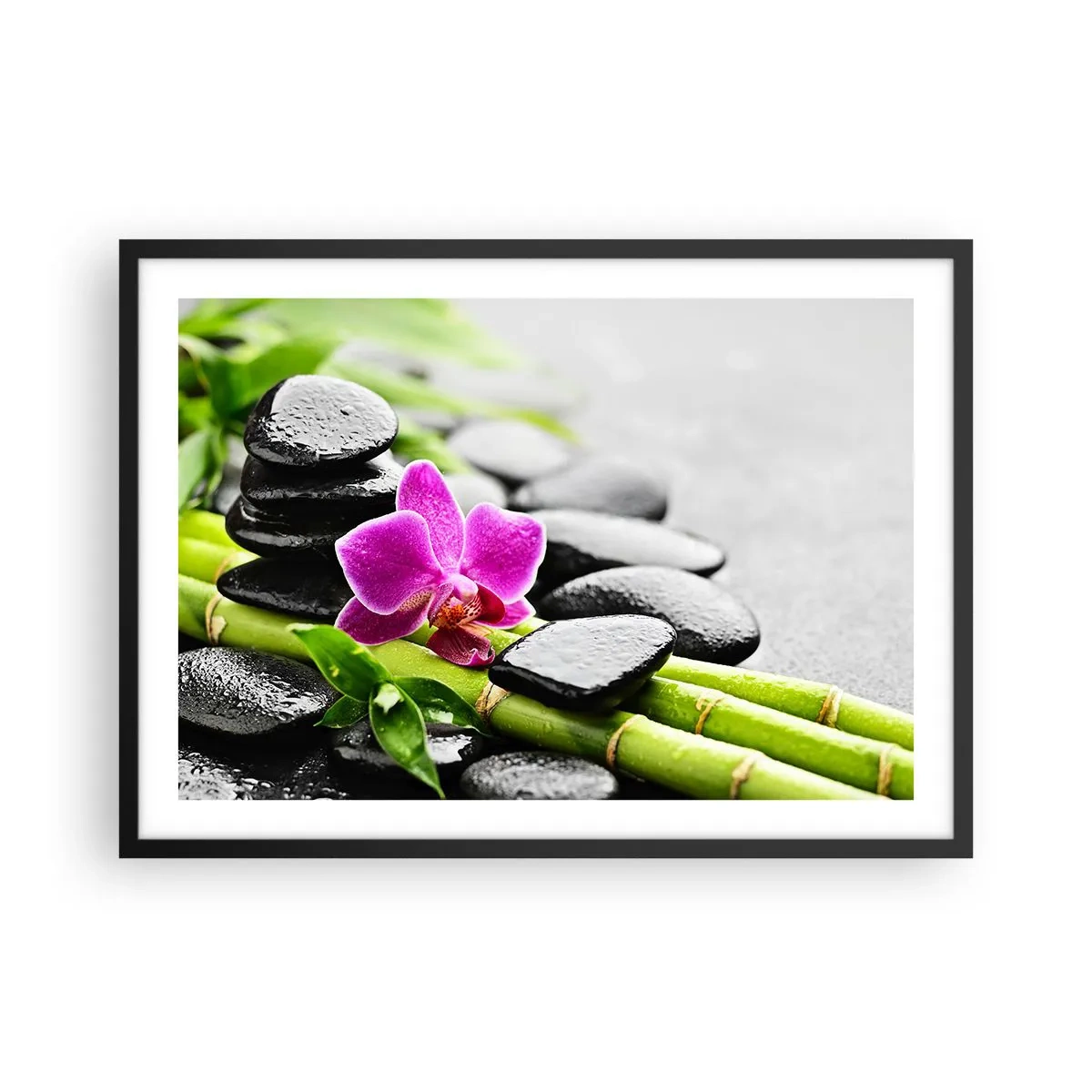 Plakat i sort ramme - I en fredelig balance - 70x50 cm