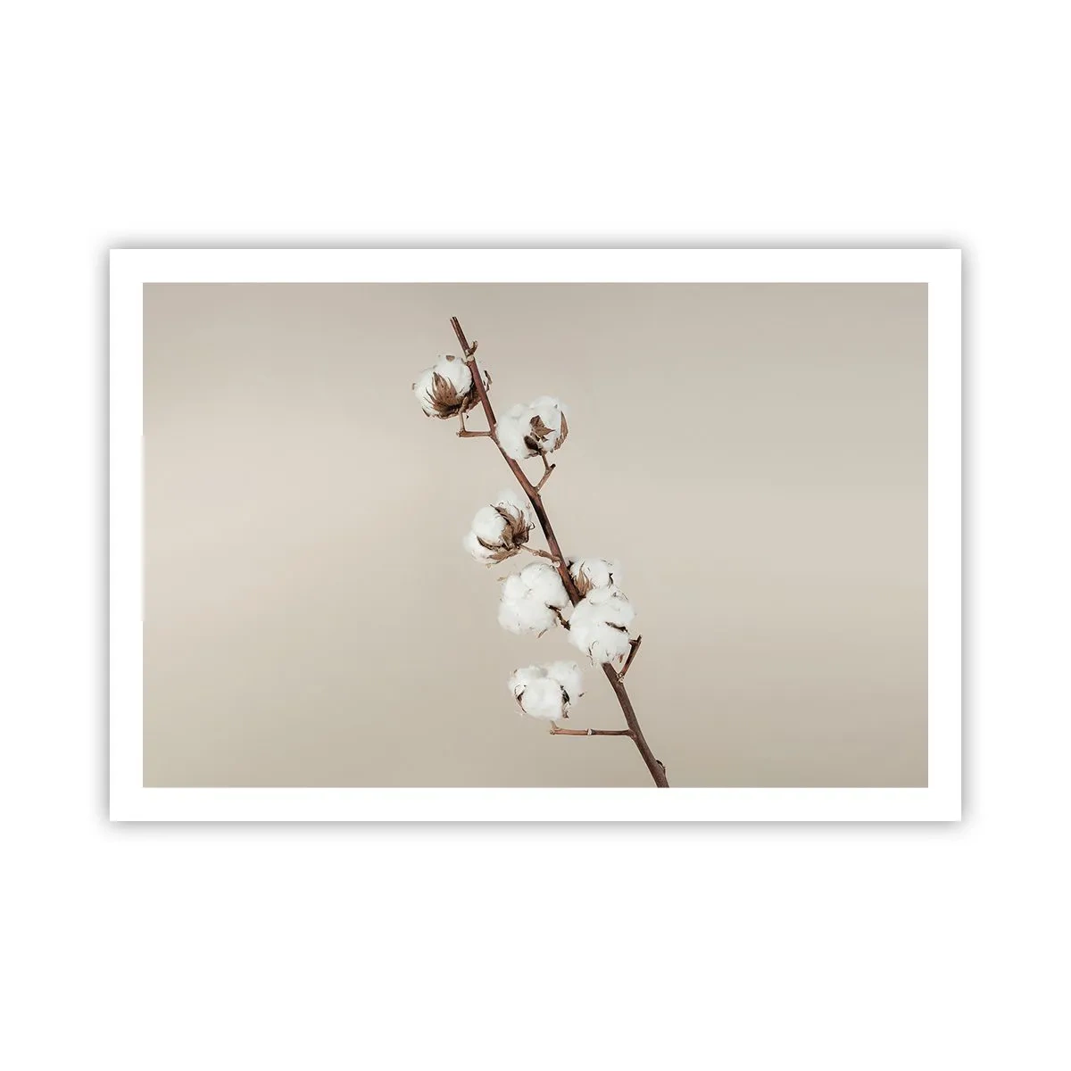 Plakat - Ved kilden til blødhed - 91x61 cm