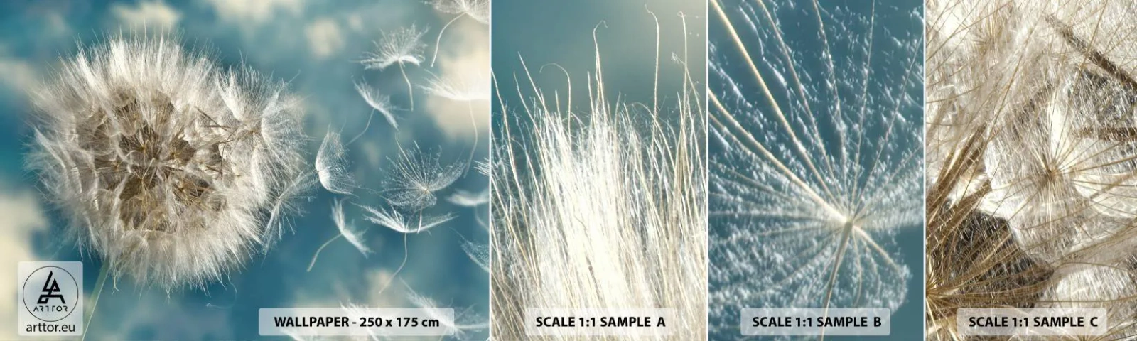 Fototapet Prøve Standard Eco - En engels åndedræt - Natur, indisk sommer, Stykke - 100x30 cm