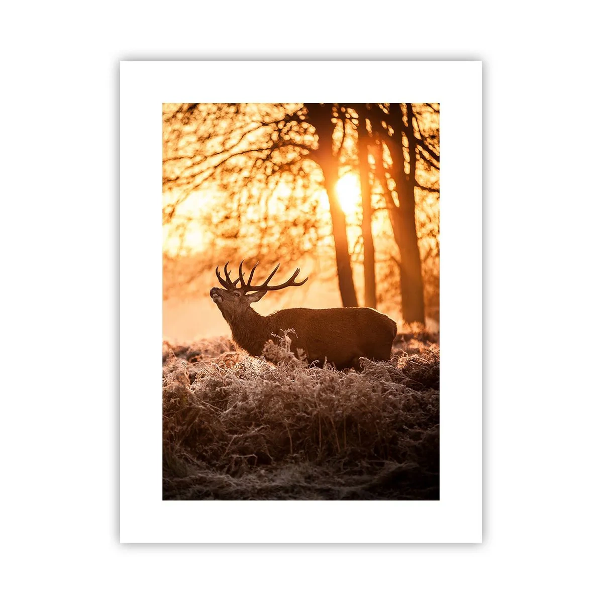 Plakat - En jægerdrøm - 30x40 cm