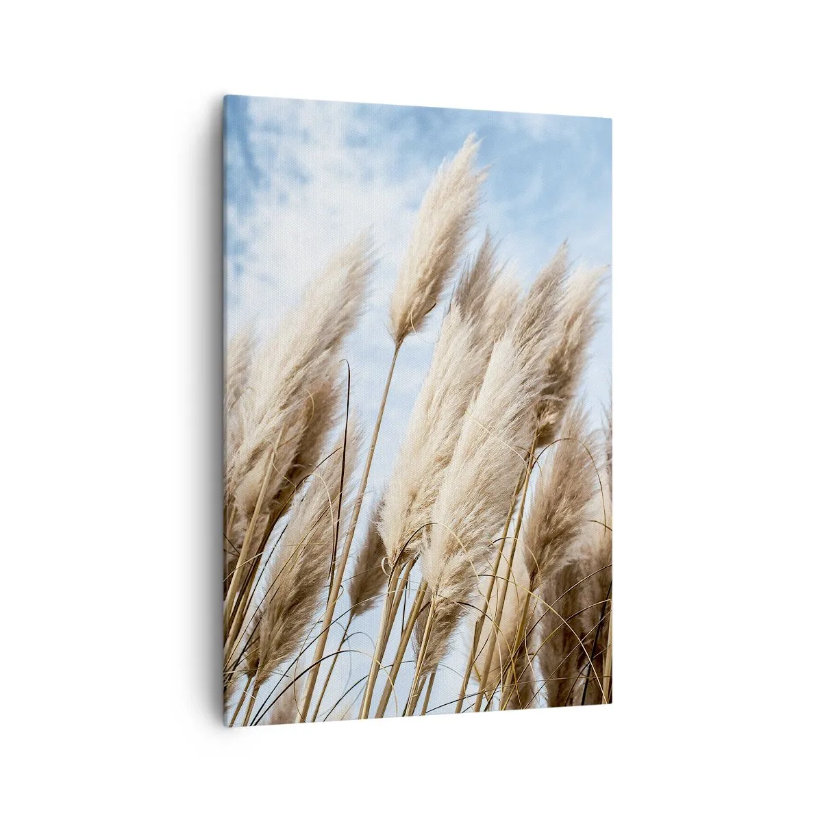 Lærredstryk - Billede på lærred - Solrig og blæsende kærtegn - 70x100 cm